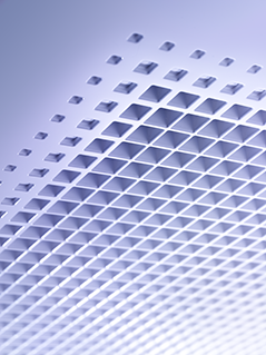 FFA-A_detail_1.tif